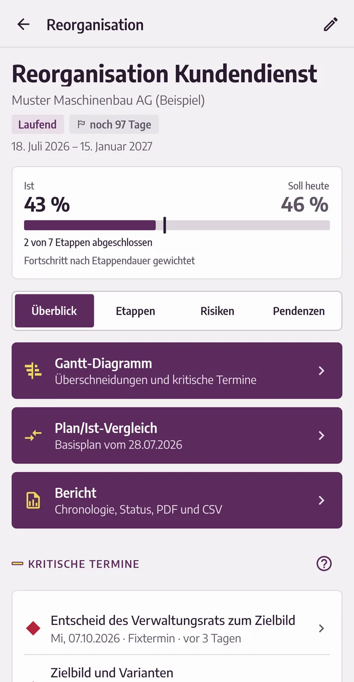 Übersicht des Beispielmandats «Reorganisation Kundendienst»: Fortschritt 43 % gegenüber Soll 46 %, darunter die Zugänge zu Gantt-Diagramm, Plan/Ist-Vergleich und Bericht sowie die kritischen Termine.